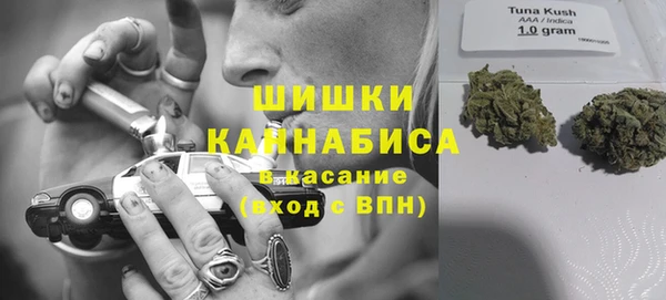 мяу мяу мука Алзамай